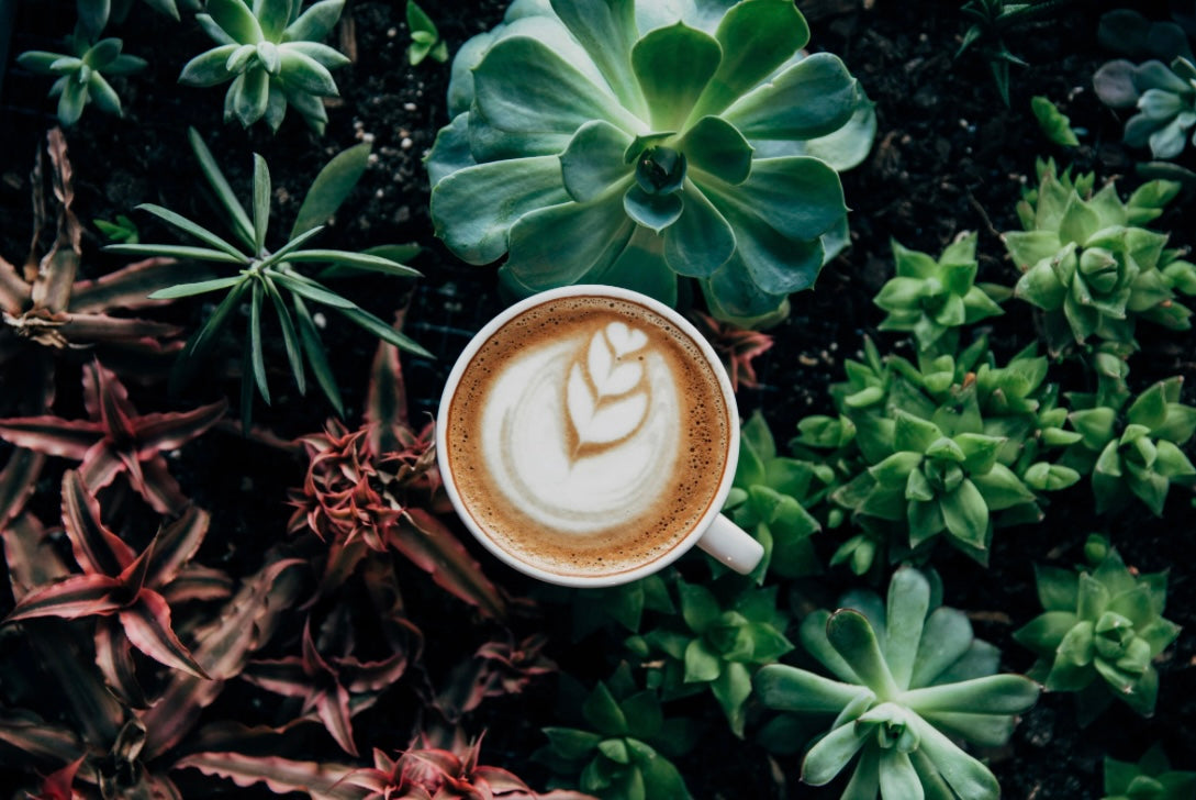 Coffee House