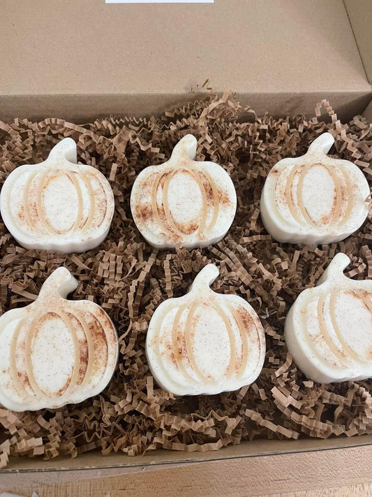 Fall Pumpkin Wax Melts