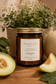 Honeydew