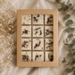 Floral Wax Melt Gift Set